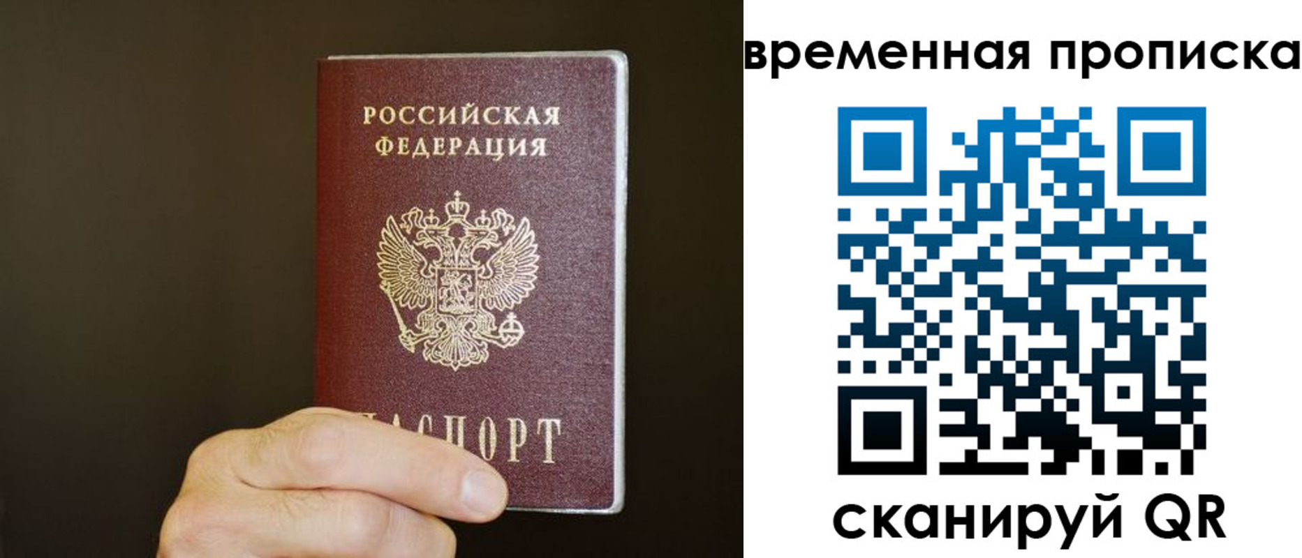 регистрация для школы в Димитровграде
